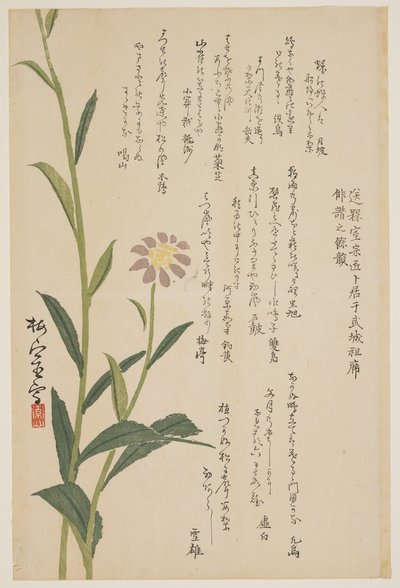 Lila Blume, ca. 1830-1844 von Baishitsu